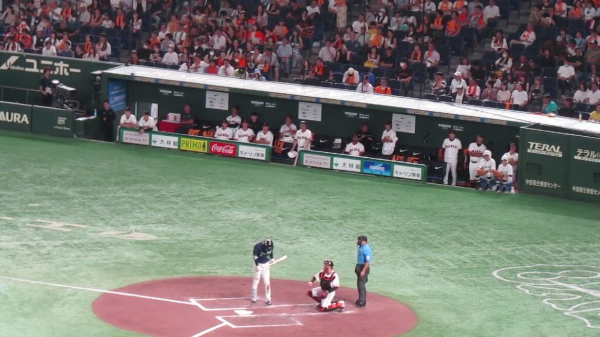 中村悠平と太田賢吾を打ち取った時の巨人ベンチの様子＜読売ジャイアンツ 対 ヤクルトスワローズ2024年8月3日＞