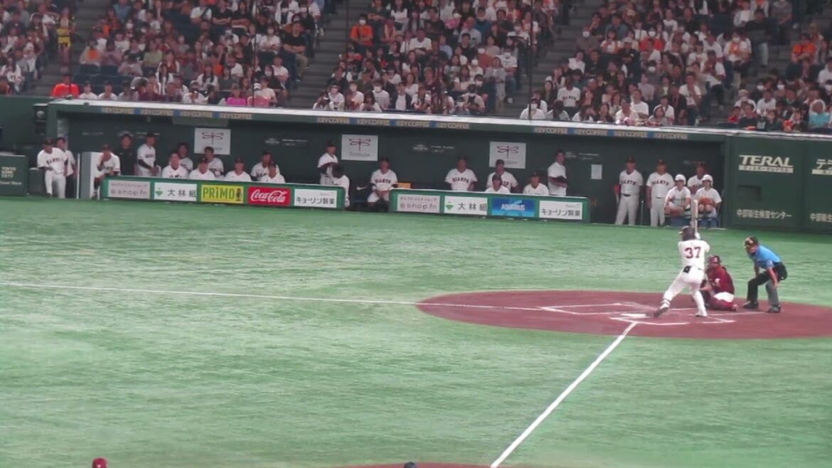 郡拓也の三振の時の2軍巨人ベンチたち（読売ジャイアンツ 対 楽天ゴールデンイーグルス 2024年9月22日）