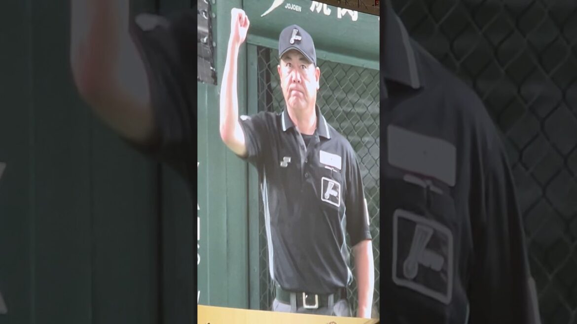 え、アウト？？リクエスト2回目要求？？コリジョンルール適応では⁉️コリジョンルールとは野球において本塁上での走者と捕手などの衝突を禁止するルールです。クロスプレーによる事故でのけがを防ぐ目的 9.15