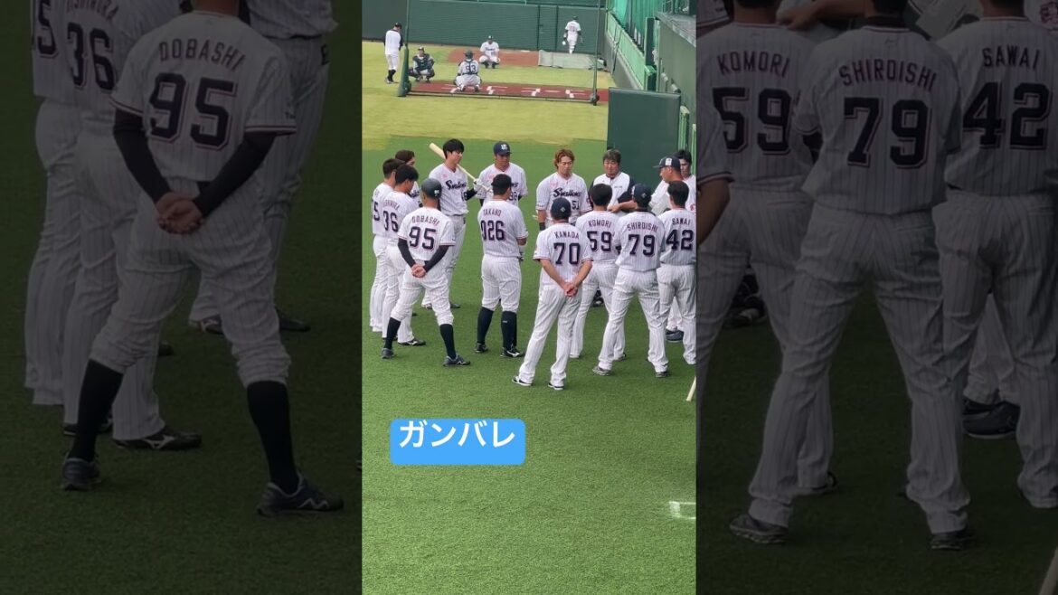 スタメン発表ヤクルトスワローズ二軍②