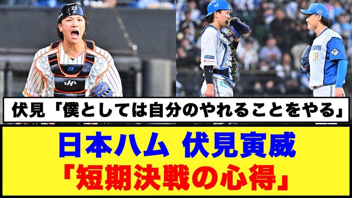 【日本ハム】伏見寅威「短期決戦の心得」