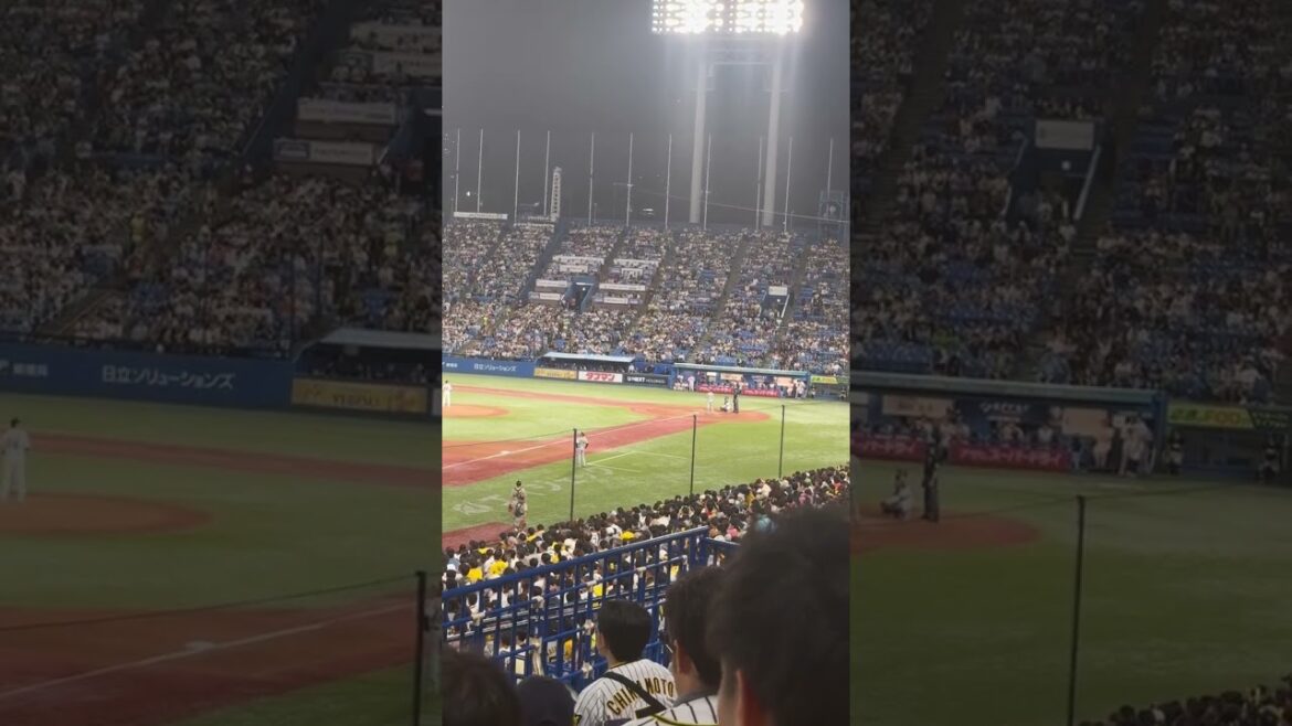 #shorts ダダンダンダダン　　阪神タイガース小野寺暖　応援歌