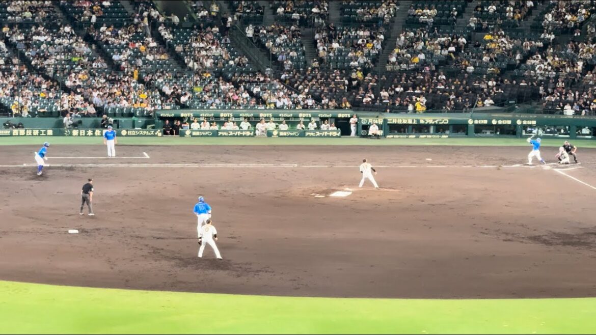 【2回表】チャンスで森敬斗！しかし。。。戸柱恭孝京田陽太横浜DeNAベイスターズ2024年9月30日青柳阪神タイガース阪神甲子園球場レフトビジター応援席応援団外野席