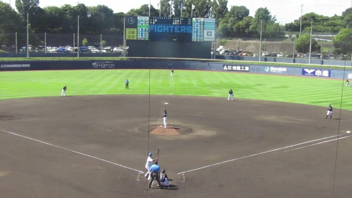 【ファイターズ】野村祐希がレフトスタンドへ同点ホームランを放つ（2024年9月11日 日本ハムファイターズ 対 千葉ロッテマリーンズ 鎌ヶ谷）