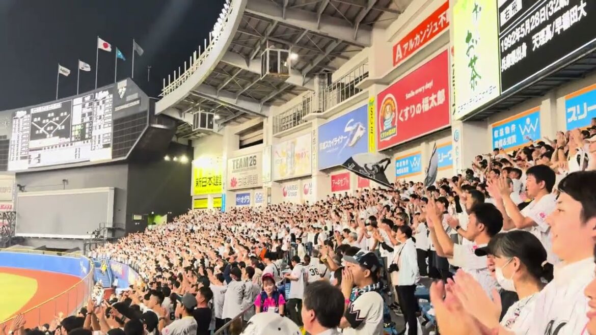 中村奨吾応援歌 2024/9/26ロッテ vs バファローズ  #chibalotte