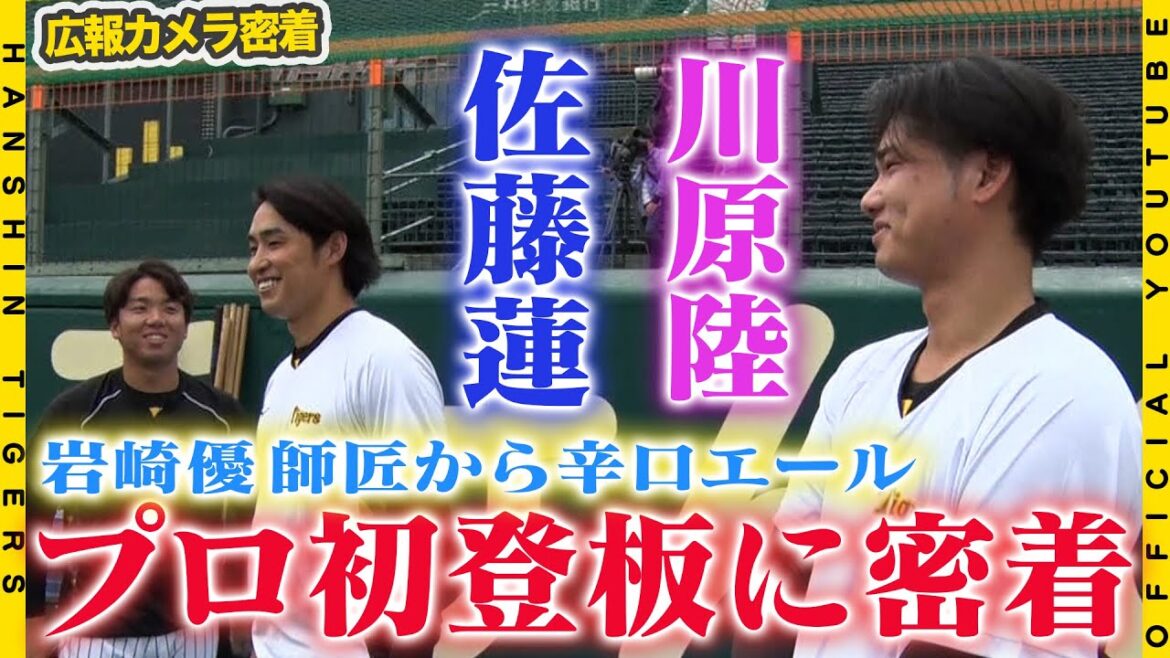 Hanshin-Tigers: 【広報密着】#佐藤蓮 投手&#川原陸 投手のプロ初登板に密着!練習から緊張気味の2人に師匠#岩崎優 投手から辛口エール!! 【広報密着】#佐藤蓮 投手&#川原陸 投手のプロ初登板に密着!練習から緊張気味の2人に師匠#岩崎優 投手から辛口エール!!