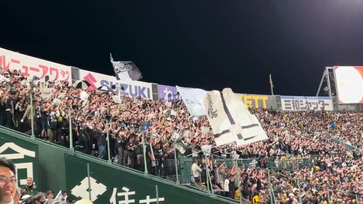 【千葉ロッテ応援】大下ホームラン→最強パシフィカンロングバージョン　世界のロッテ @甲子園 2018年以来5年ぶりの甲子園での声出し応援解禁！！　2023/06/03