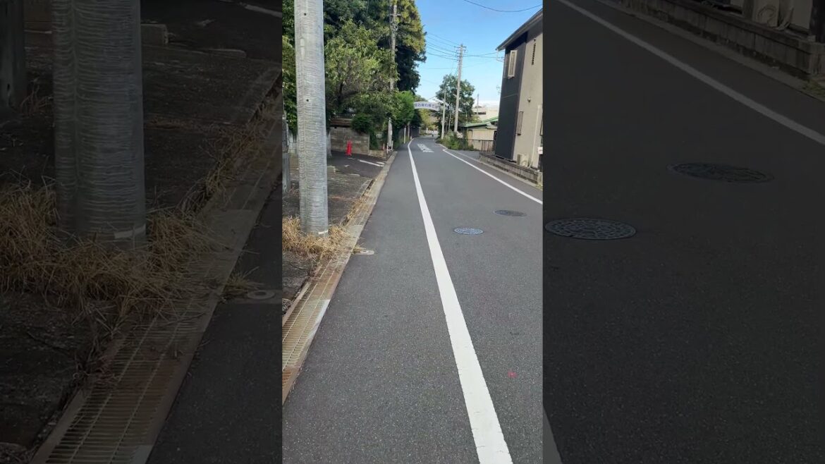 K.224 駐車場からドームに向かう道