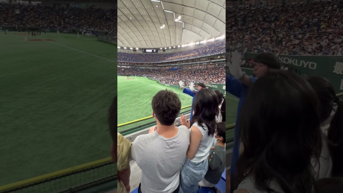 東京中日❤️‍🔥がんばれ松木平💫応援歌スタメン🔥応援よろしくお願いします🙇✨東京ドーム　レフトビジター2024.9.16 読売戦 1-7負け 借金17 🔥#立浪  #中日 #読売