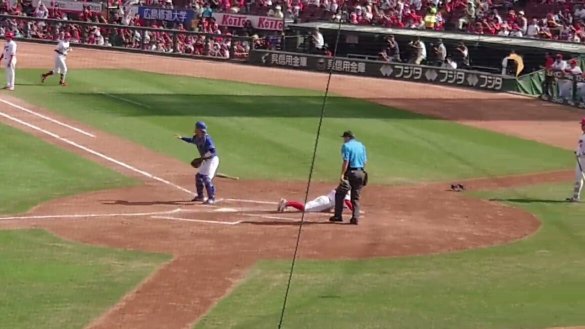 【2024.9.29】小園海斗　犠牲フライで逆転【1回裏】