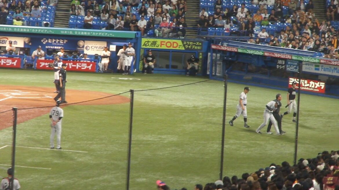 巨人 萩尾匡也 デッドボール　ヤクルト vs 巨人　2024年9月29日(日) 神宮球場