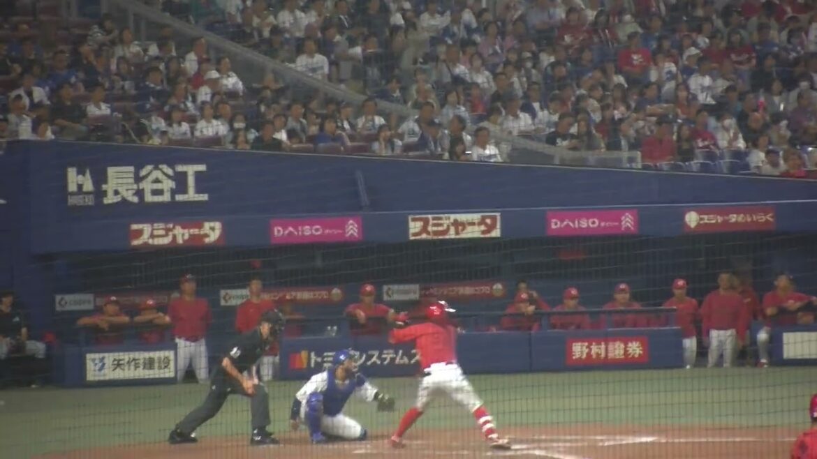 広島東洋カープ 韮澤雄也選手 第2打席 ピッチャーゴロ VS 中日ドラゴンズ 2024/9/23 バンテリンドーム