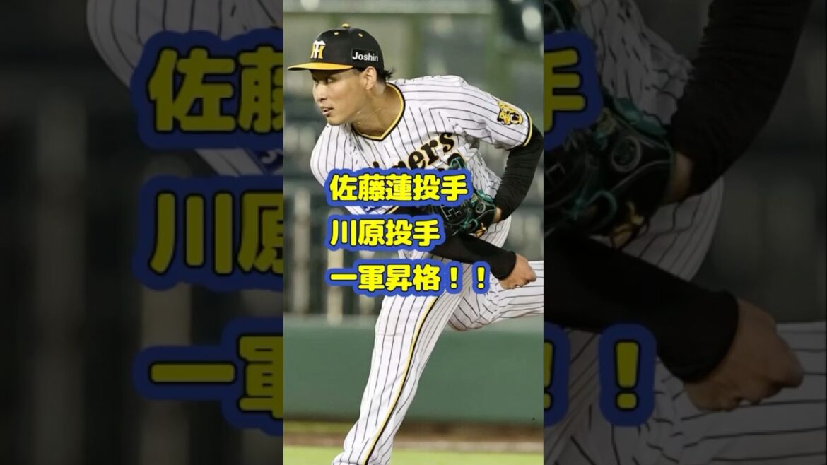 阪神タイガース・川原投手、佐藤蓮投手一軍昇格決定！！#阪神タイガース　#プロ野球