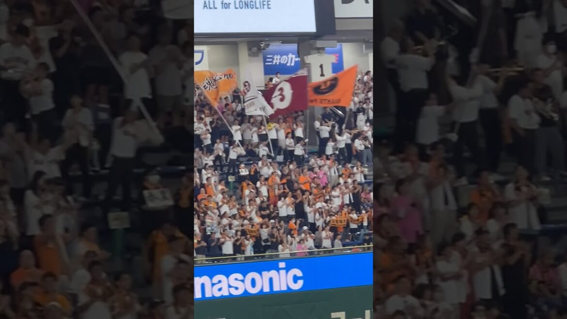 東京読売⭐️応援歌スタメン✨4番〜7番💫岡本、浅野、秋広、門脇❤️‍🔥✨東京ドーム　レフトビジター2024.9.16 読売戦 1-7負け 借金17 🔥#立浪  #中日 #読売
