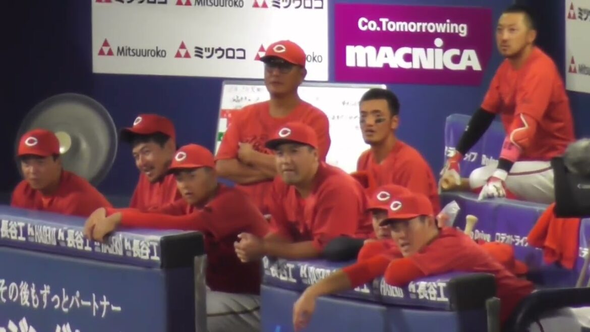 おっ、野間峻祥さん盗塁決めた！リクエストされるも圧倒的なセーフの予感、リクエスト中のカープベンチ！2024年10月1日