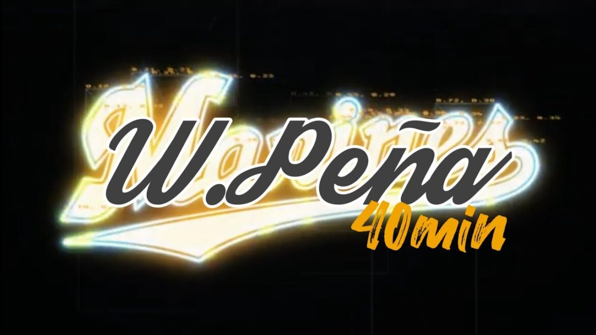 【作業用】W.ペーニャ選手応援歌 40分耐久【カスティーヨ→ブラゼル→ペーニャ流用】