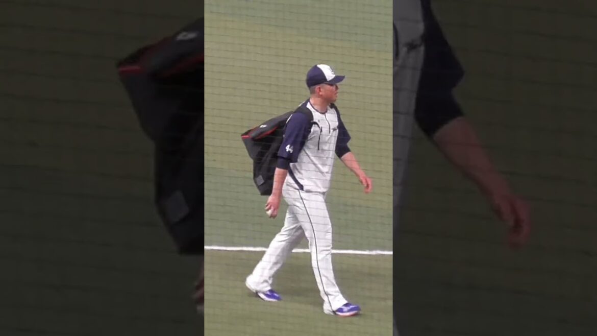 大西 広樹　'24シーズン 勝利数 & HP キャリアハイ　#東京ヤクルトスワローズ #shorts