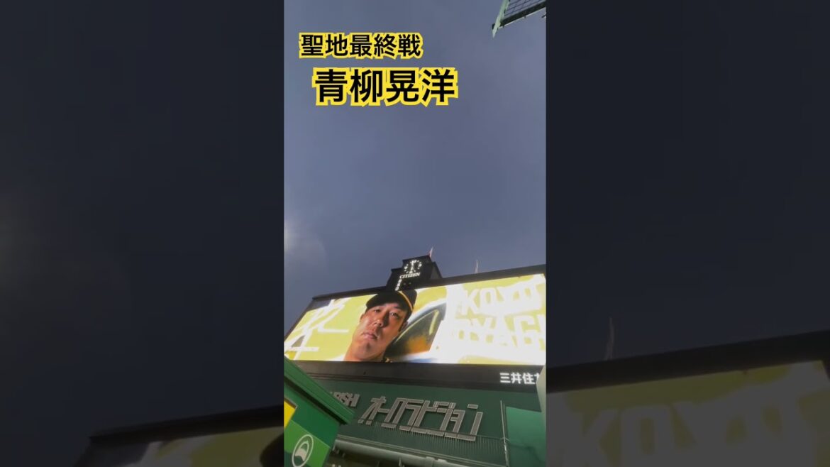 #tigers #青柳晃洋