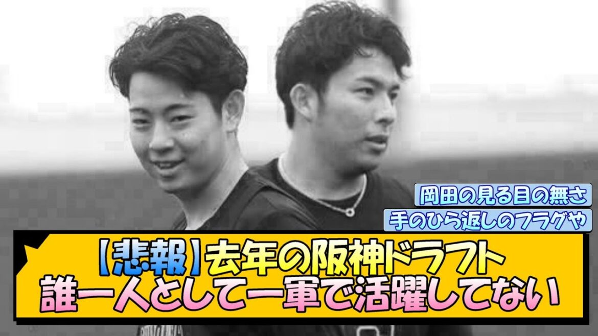 【悲報】去年の阪神ドラフト、誰一人として一軍で活躍してない【なんJ/2ch/5ch/ネット 反応 まとめ/阪神タイガース/岡田監督】