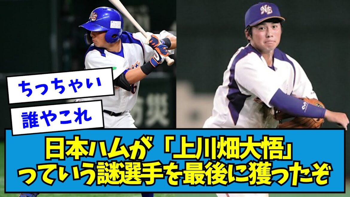 【2021年】日本ハムが「上川畑大悟」っていう謎選手を最後に獲ったぞ【なんJ反応】【なんJ反応】 【2021年】日本ハムが「上川畑大悟」っていう謎選手を最後に獲ったぞ【なんJ反応】【なんJ反応】