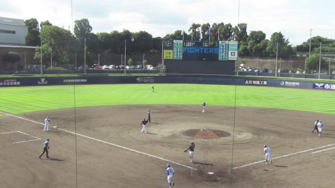 阪口 樂をショートフライに打ち取るヤクルト竹山日向（2024年9月4日 日本ハムファイターズ 対 ヤクルトスワローズ）