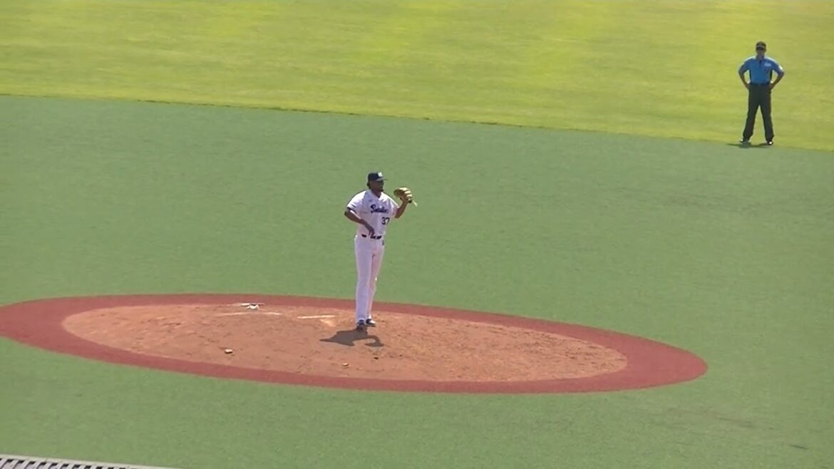 【野球選手フォーム集】ヤクルト ロドリゲスの投球フォーム貴（2024年6月14日 ヤクルトスワローズ対 日本ハムファイターズ）