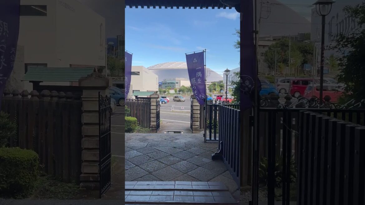 K.225 2024年10月1日 K.225 2024年10月1日