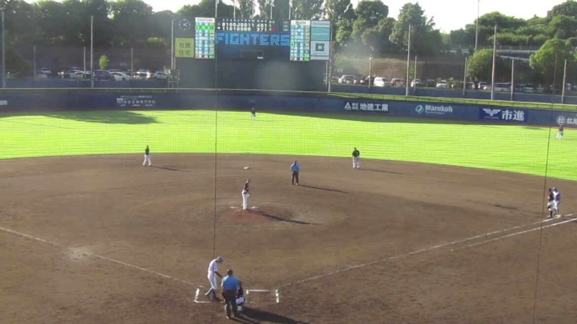 【ファイターズ】若林晃弘がフォアボールで後ろへ繋ぐ（2024年9月11日 日本ハムファイターズ 対 千葉ロッテマリーンズ 鎌ヶ谷）