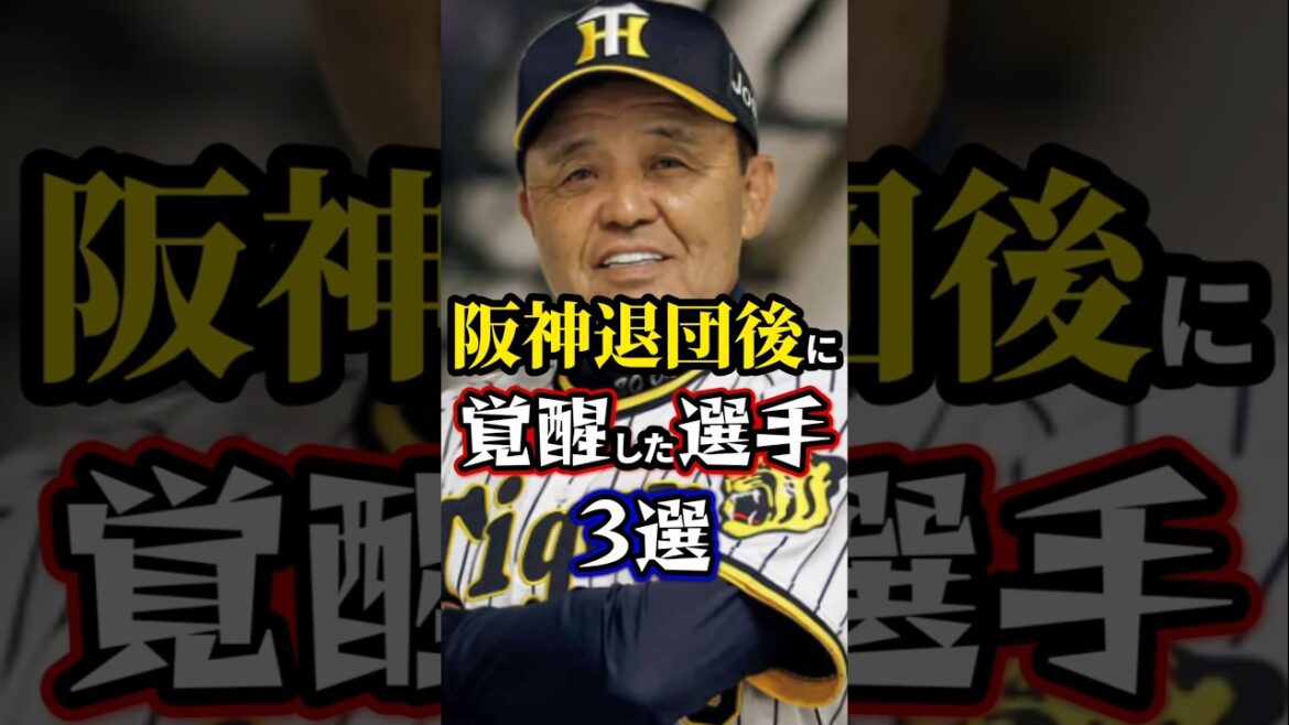阪神退団後に覚醒した選手3選 #阪神タイガース