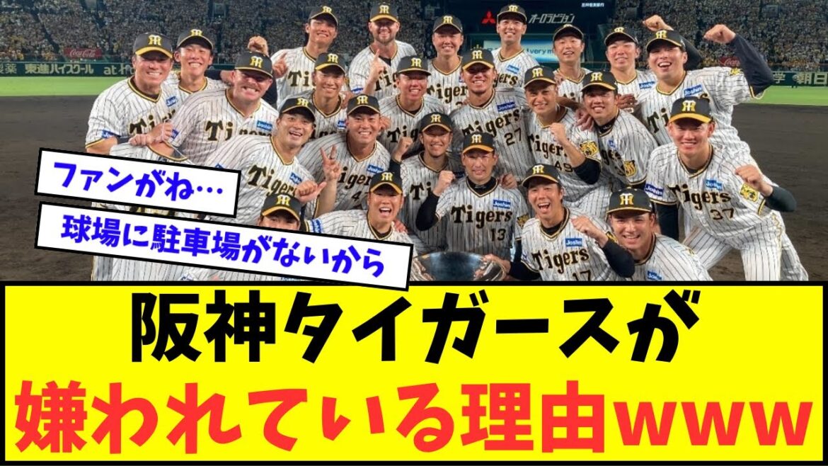【なんでや？】阪神タイガースが嫌われている理由wwwww【なんJ反応】【2chスレ】【5chスレ】【プロ野球反応集】