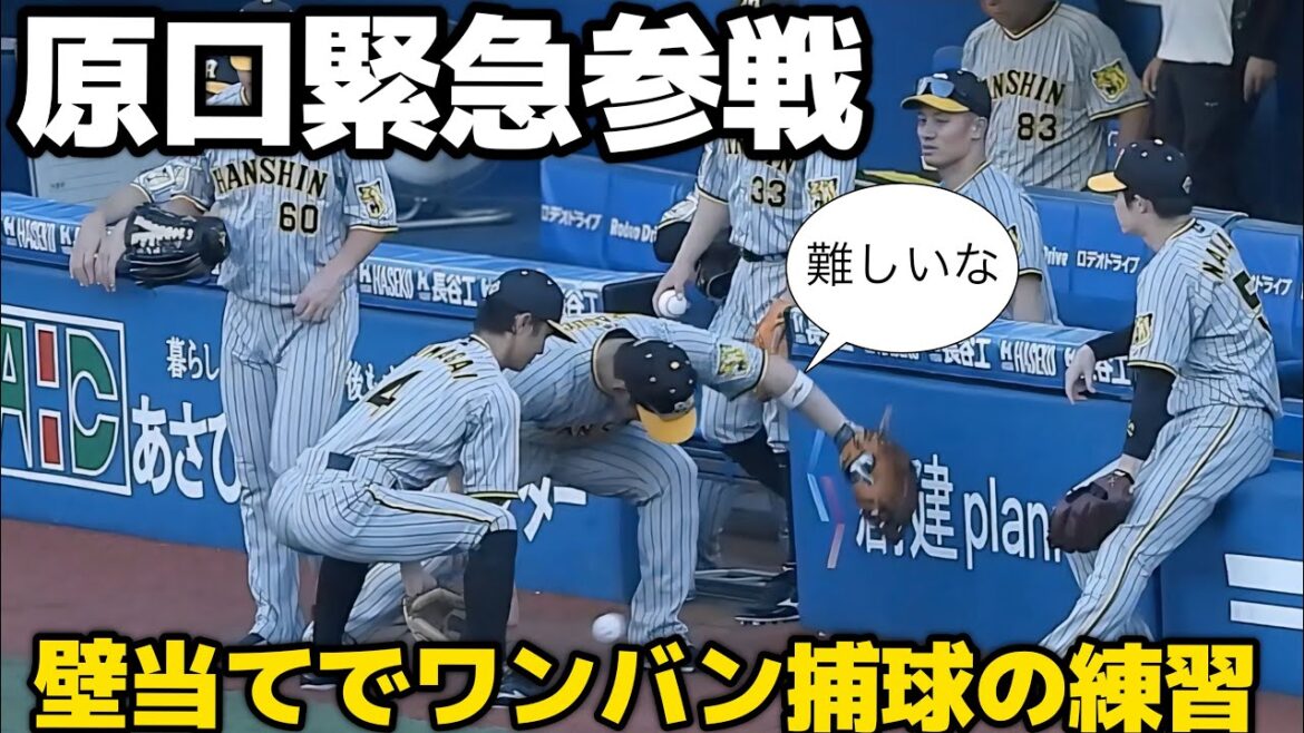 【何やそれ！ｼｭﾊﾞﾊﾞﾊﾞﾊﾞ】熊谷パイセンのベンチの壁当て捕球に緊急参戦した原口文仁、ボールを捕り損ねて左手首を痛める