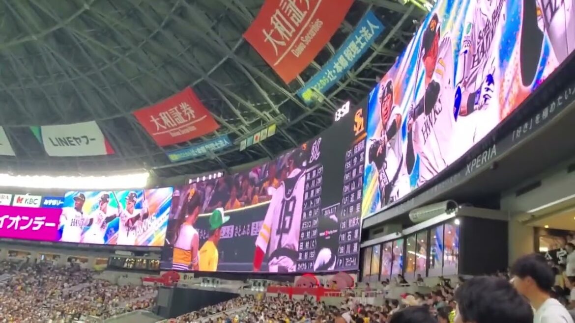 20240817　1回表　試合開始！　ｶｰﾀｰ･ｽﾁｭﾜｰﾄ･ｼﾞｭﾆｱ登板　福岡ｿﾌﾄﾊﾞﾝｸﾎｰｸｽ@みずほPayPayﾄﾞｰﾑ福岡･外野ﾗｲﾄ