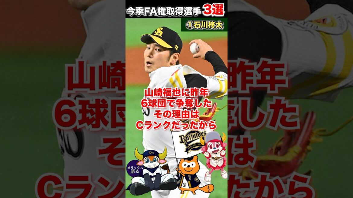 【4年連続参戦中】酒居が行使！去就大注目の今季FA権取得選手3選【オリックスバファローズ】