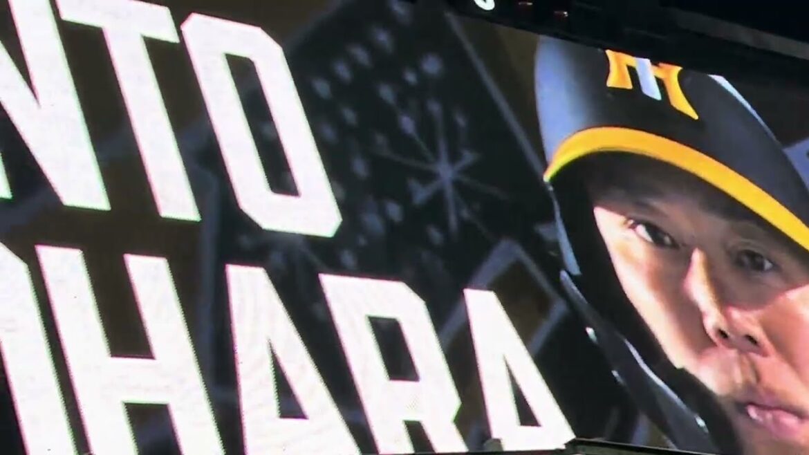 【魅せろ】代打 #阪神 #糸原健斗 選手登場で沸く聖地  24.9.30. #阪神甲子園球場