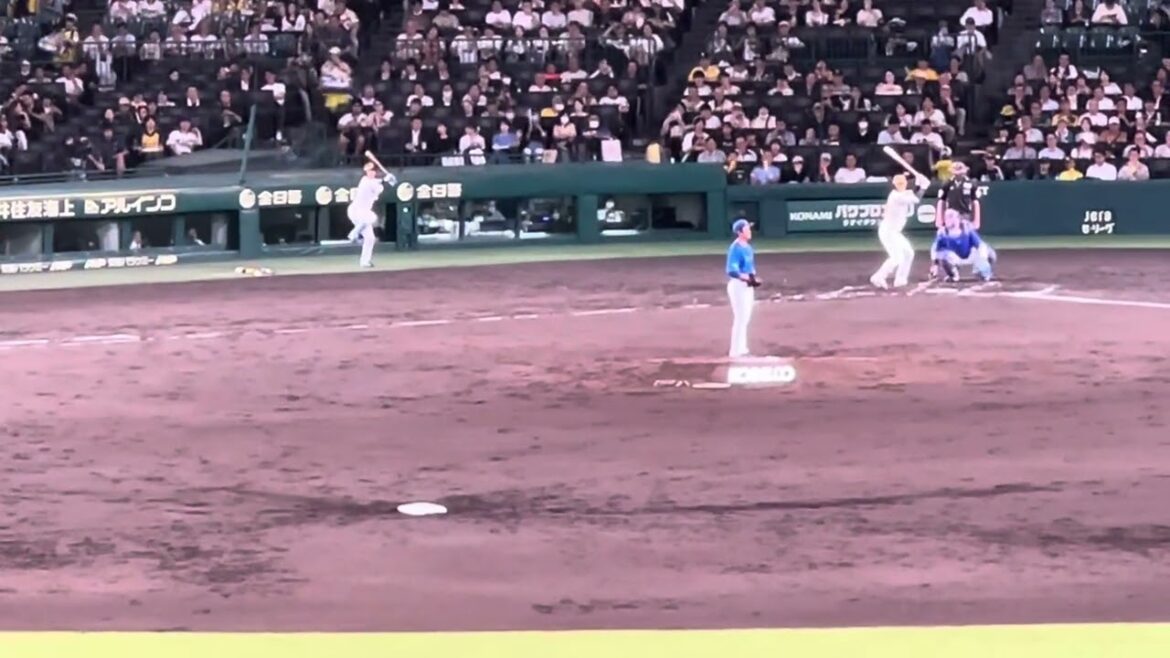 【一軍昇格】 #阪神 #小幡竜平 選手代打で登場 久々の応援歌が流れた聖地  #阪神甲子園球場  24.9.30.