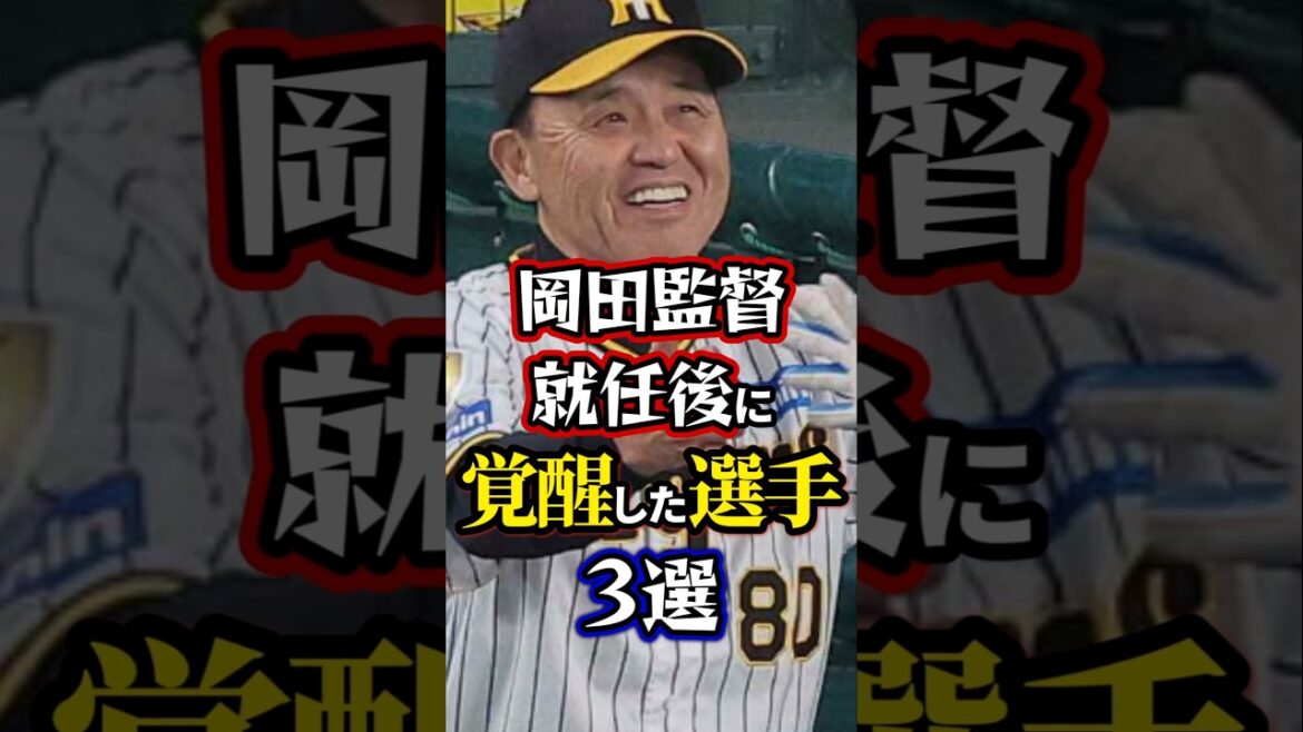【阪神】岡田監督就任後に覚醒した選手3選。#阪神タイガース 【阪神】岡田監督就任後に覚醒した選手3選。#阪神タイガース