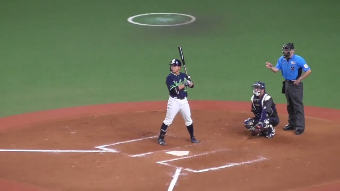 飛球注意！　山崎 晃大朗 編　#東京ヤクルトスワローズ