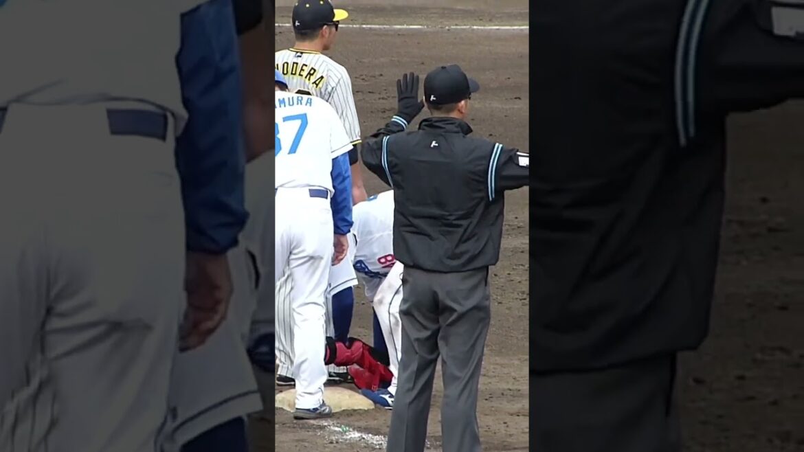 溝脇さんて今何してはるんやろ？