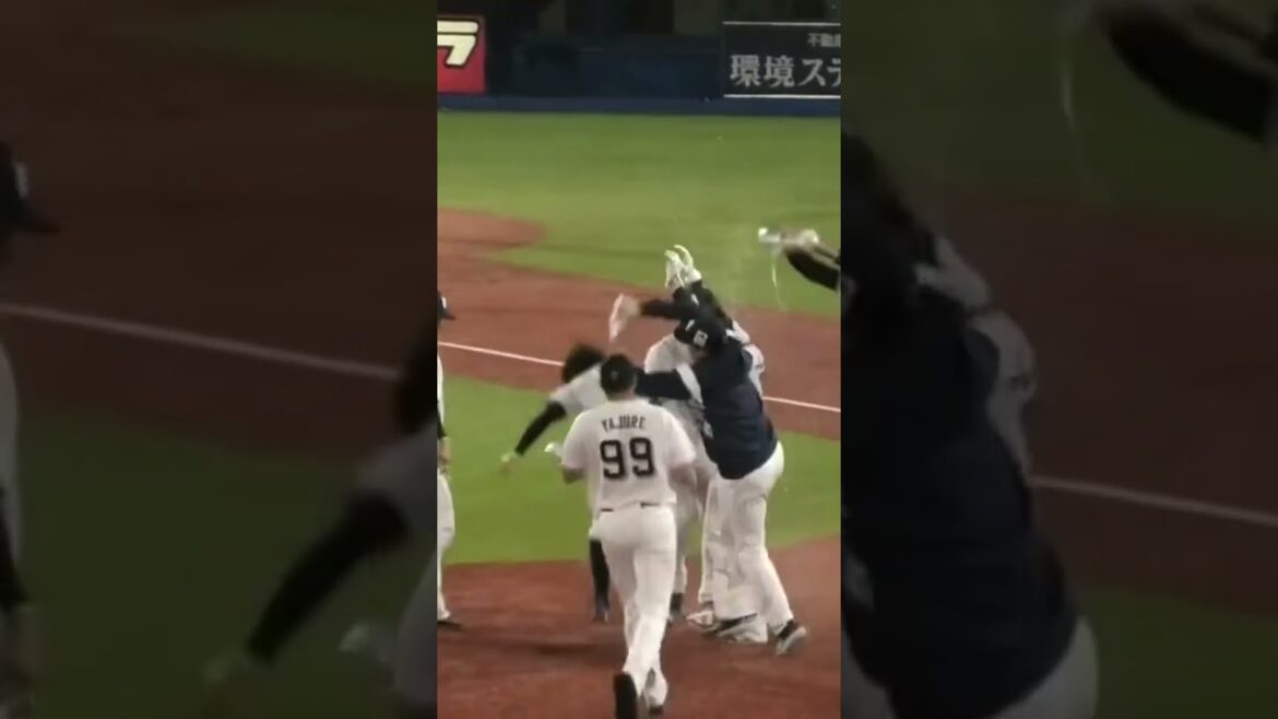 並木秀尊、水をユニフォームの中に入れられるw #東京ヤクルトスワローズ #shorts