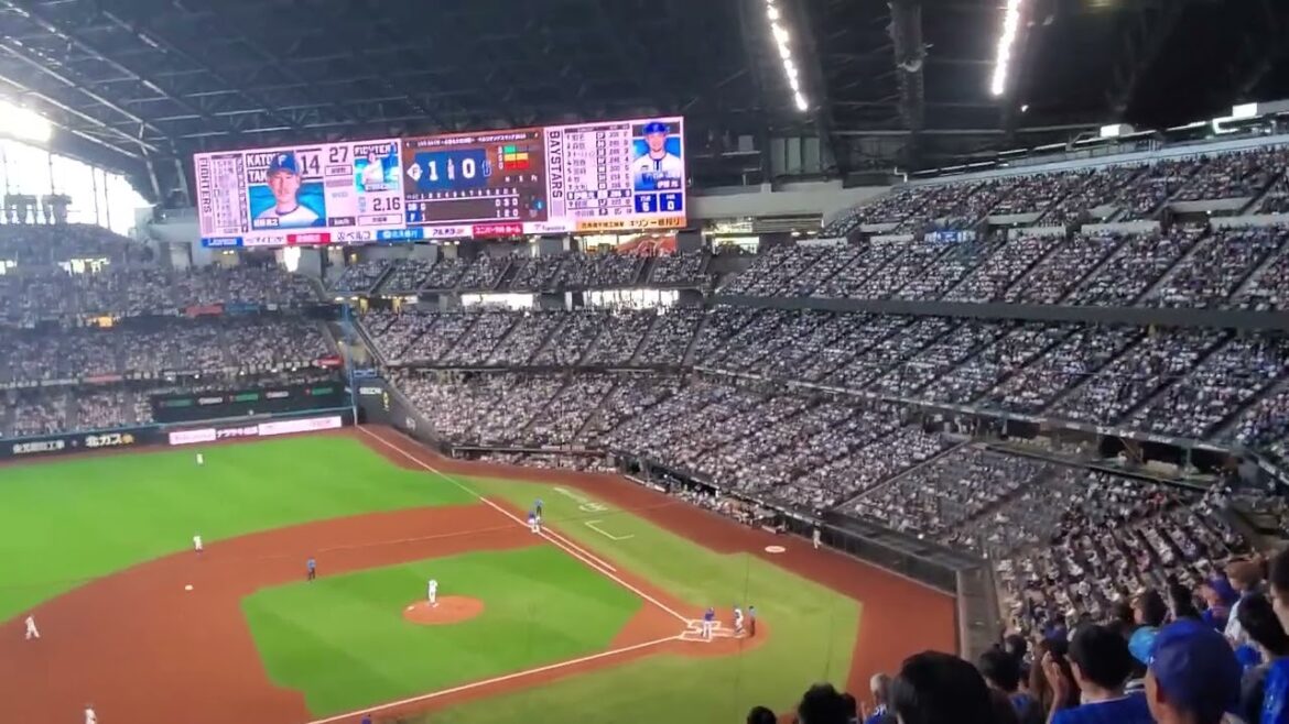 20240601 覚悟を示す!【伊藤光 応援歌】 2回表 横浜DeNAベイスターズ@エスコンフィールドHOKKAIDO・内野3塁側 日本生命セ・パ交流戦 20240601 覚悟を示す!【伊藤光 応援歌】 2回表 横浜DeNAベイスターズ@エスコンフィールドHOKKAIDO・内野3塁側 日本生命セ・パ交流戦