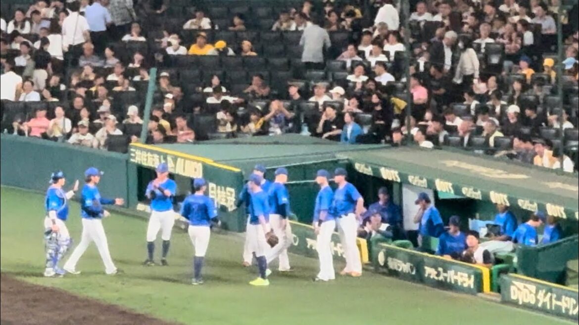 【8回裏】佐々木千隼も無安打投球ノーヒットノーランリレー継続中なう！横浜DeNAベイスターズ2024年9月30日阪神タイガース阪神甲子園球場ビジター応援席応援団レフト外野