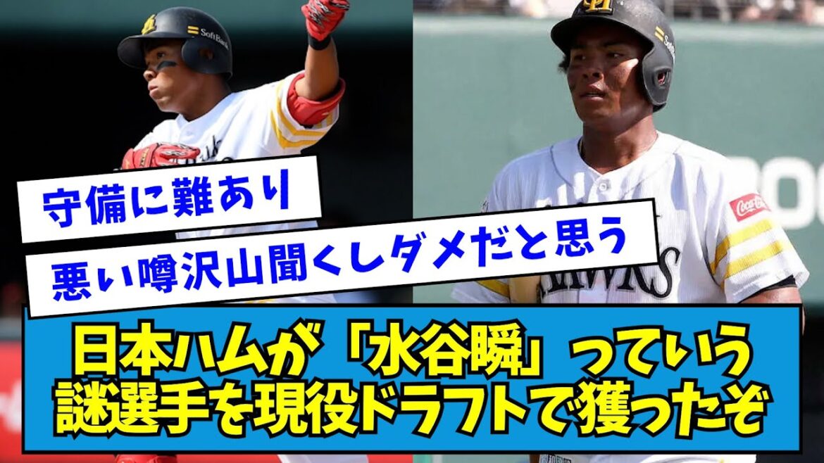 【2023年】日本ハムが「水谷瞬」っていう謎選手を現役ドラフトで獲ったぞ【なんJ反応】