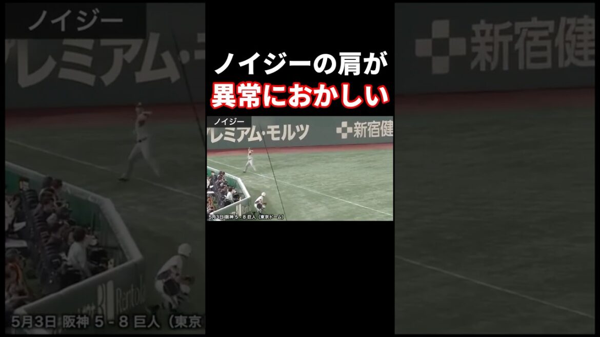 阪神タイガース、ノイジーの肩が異常におかしい #野球 #プロ野球 #阪神タイガース