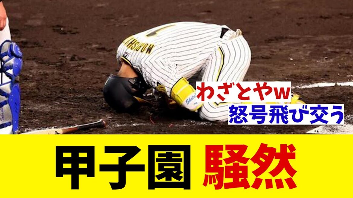 阪神対DeNA　甲子園が騒然の事態・・・【野球情報】【2ch 5ch】【なんJ なんG反応】【野球スレ】