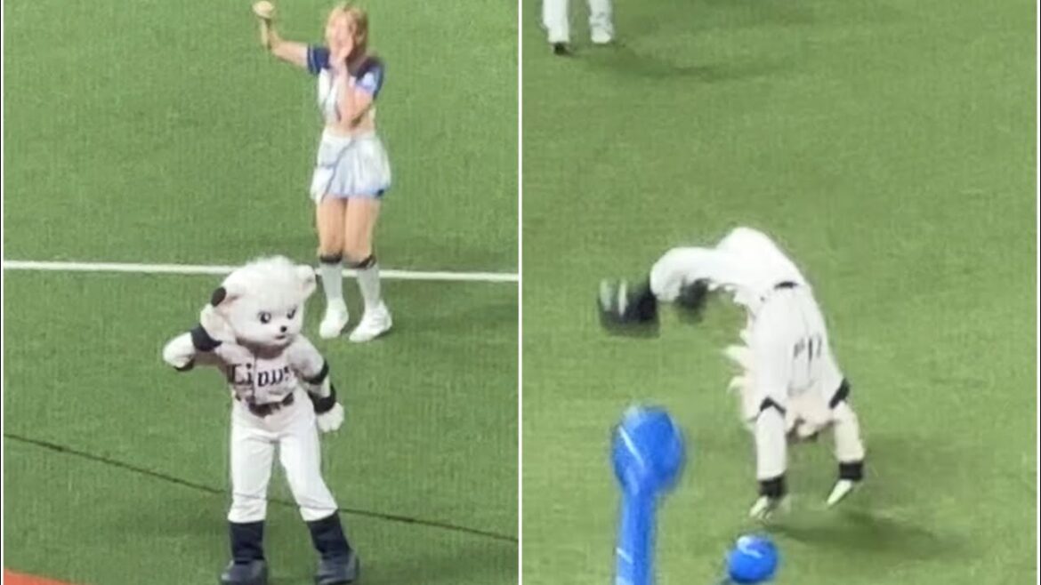 【今シーズンもありがとう】今年最後のラッキー7『吠えろライオンズ』【西武vs日本ハム】2024/10/1