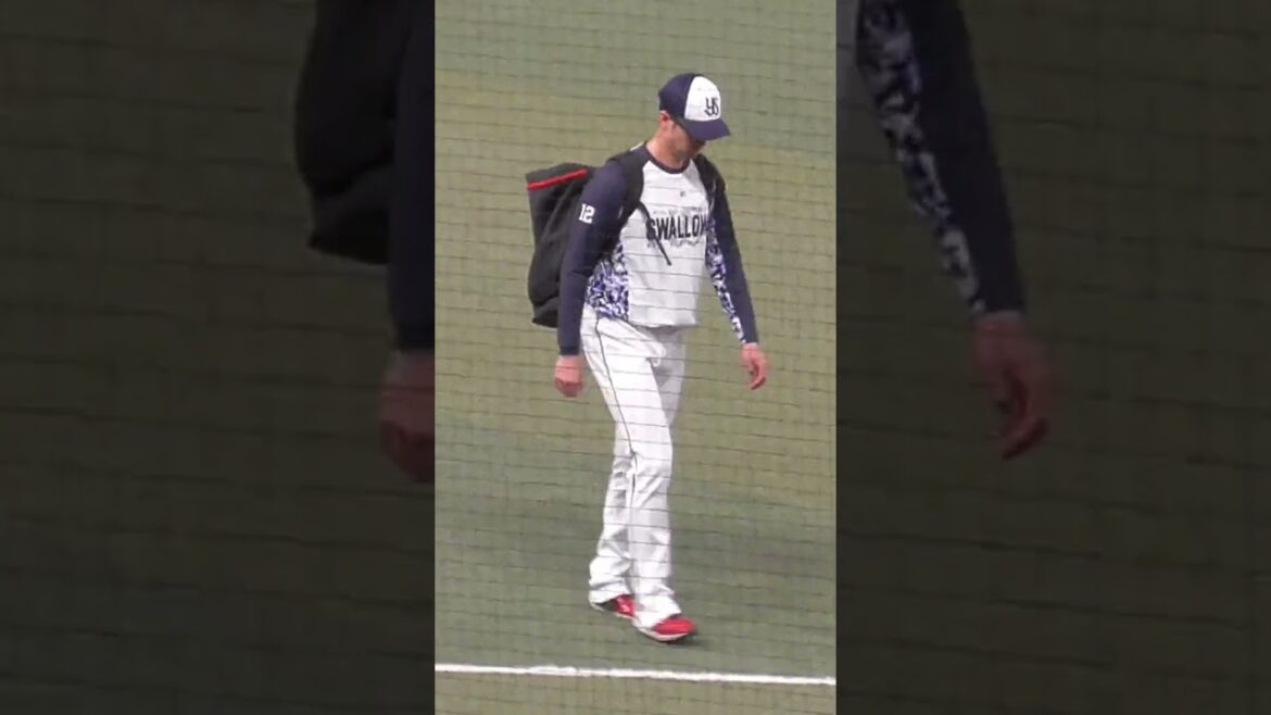 石山 泰稚 投手　眼鏡　#東京ヤクルトスワローズ #shorts