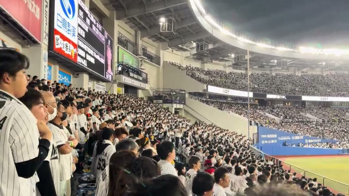 【ホーム最終戦】石川慎吾応援歌 2024/10/3  ロッテ vs ファイターズ #chibalotte