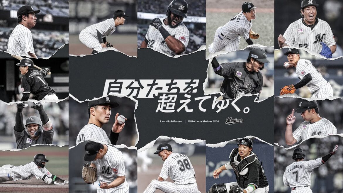 CHIBA LOTTE MARINES 2024 SEASON RECAP