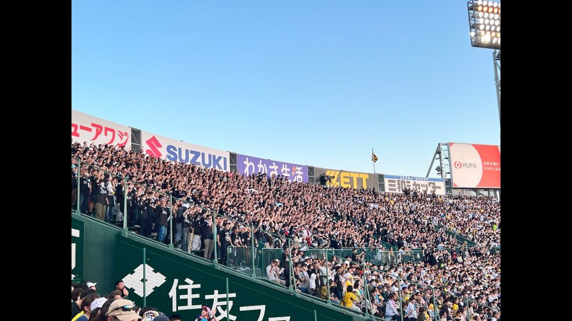 【千葉ロッテ応援】白黒の男達→藤岡裕大 @甲子園 2018年以来5年ぶりの甲子園での声出し応援解禁！！　2023/06/03