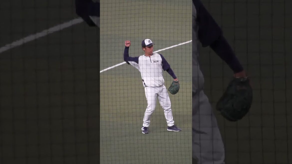 小川 泰弘　エースピッチャーは守備もそこそこイケてます　#東京ヤクルトスワローズ #shorts